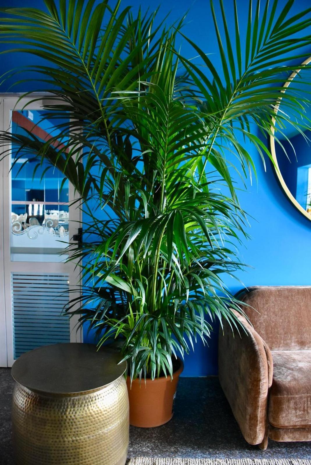 Hotel Portofino Lido di Jesolo Ngoại thất bức ảnh